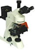 GT Vision GXM Fluorescence Microscopes GT Vision GXM Fluorescence Microscopes
