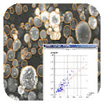 GT Vision Image Analysis Systems GT Vision Image Analysis Systems