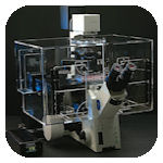 GT Vision Live Cell Imaging Systems GT Vision Live Cell Imaging Systems