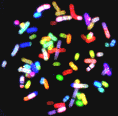 eth_rgb eth_rgb