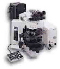 GT Vision Olympus BX61 Research Microscope GT Vision Olympus BX61 Research Microscope