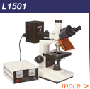 GX Microscopes